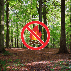 Grillverbot im Wald wegen hoher Waldbrandgefahr